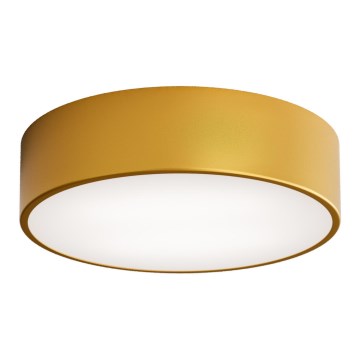Plafoniera CLEO con sensore di movimento e sensore crepuscolare, 2xE27/24W/230V, Ø 30 cm, finitura dorata