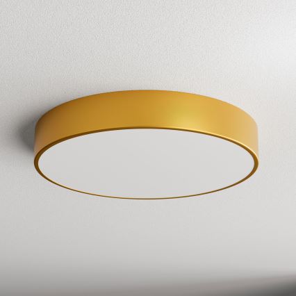 Plafoniera con sensore di movimento e sensore crepuscolare CLEO 4xE27/24W/230V Ø 50 cm dorata