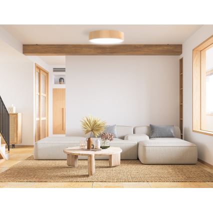Plafoniera da bagno CLEO 2xE27/24W/230V IP54 diametro 27,5 cm pino