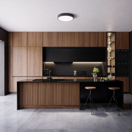 Plafoniera da bagno CLEO 4xE27/24W/230V diametro 50 cm nero IP54