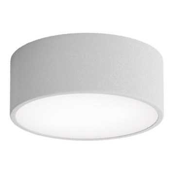 Plafoniera da bagno con sensore CLEO 1xE27/24W/230V Ø 20 cm IP54 grigia