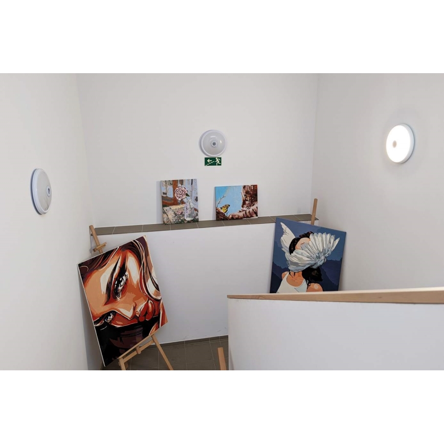 Plafoniera da soffitto LED per esterni con sensore di movimento e di crepuscolo LED/16W/230V Ø 28,5 cm IP54 bianca