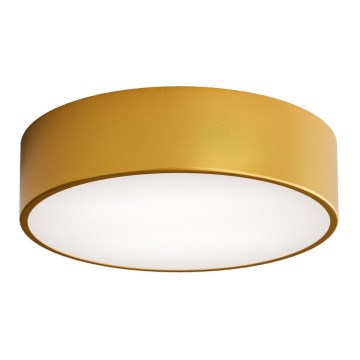Plafoniera da esterno con sensore CLEO 2xE27/24W/230V d. 30 cm oro IP54