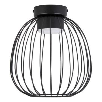 Plafoniera da soffitto OVELLA 1xGX53/10W/230V Ø 25 cm, nera