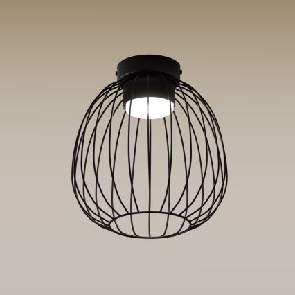Plafoniera da soffitto OVELLA 1xGX53/10W/230V Ø 25 cm, nera