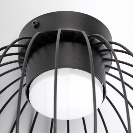 Plafoniera da soffitto OVELLA 1xGX53/10W/230V Ø 25 cm, nera