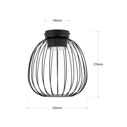Plafoniera da soffitto OVELLA 1xGX53/10W/230V Ø 25 cm, nera