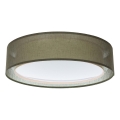 Plafoniera da soffitto PURO 2xE27/40W/230V Ø 50 cm, verde
