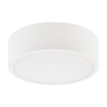Plafoniera DANTE 1xE27/60W/230V diametro 26 cm bianco