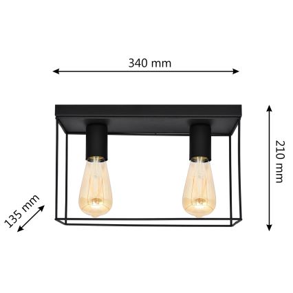 Plafoniera FINN 2xE27/15W/230V nero