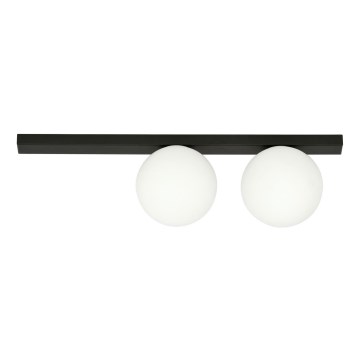 Plafoniera FIT 2xE14/10W/230V nero/bianco
