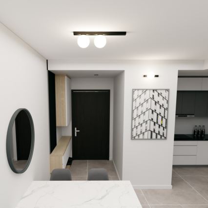Plafoniera FIT 2xE14/10W/230V nero/bianco