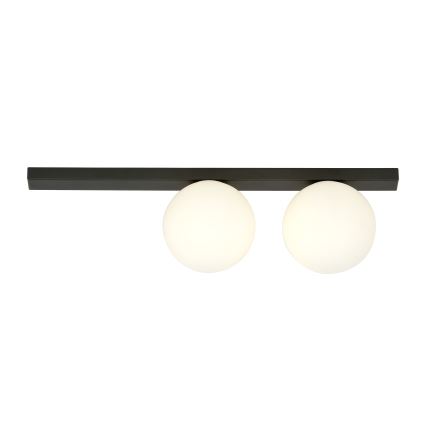 Plafoniera FIT 2xE14/10W/230V nero/bianco