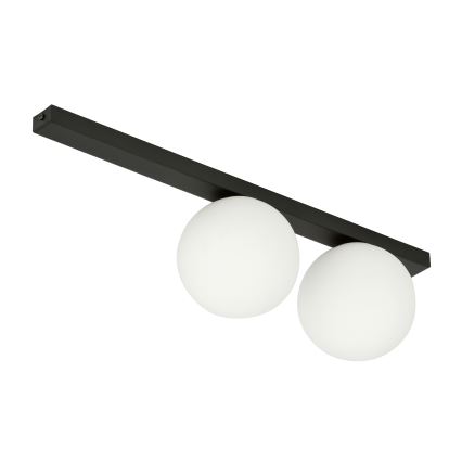 Plafoniera FIT 2xE14/10W/230V nero/bianco