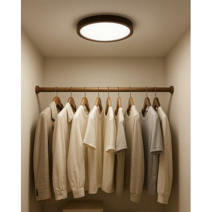 Plafoniera LED 18W/230V 3000/4000/6500K Ø 23 cm marrone