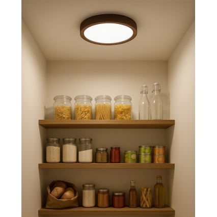 Plafoniera LED 18W/230V 3000/4000/6500K Ø 23 cm marrone