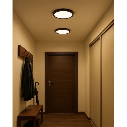 Plafoniera LED 24W/230V, 3000/4000/6500K, Ø 30 cm, marrone