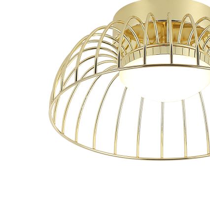 Plafoniera LED BETSY LED/12W/230V Ø 25 cm dorata