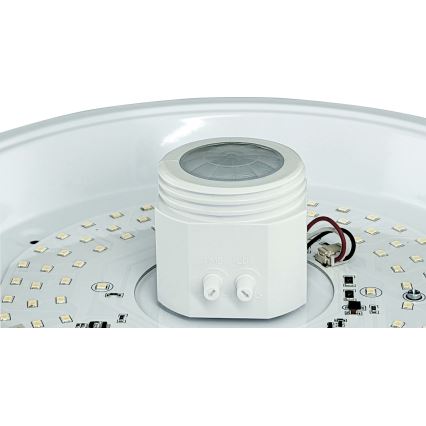 Plafoniera LED con sensore di movimento e sensore crepuscolare e modulo d'emergenza MANA LED/12W/230V 1500 mAh Ø 29 cm bianca
