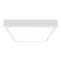Plafoniera LED da bagno LED/18W/230V 6500K IP44 bianco