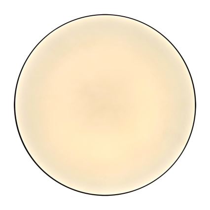 Plafoniera LED da bagno MOON LED/18W/230V nero IP44