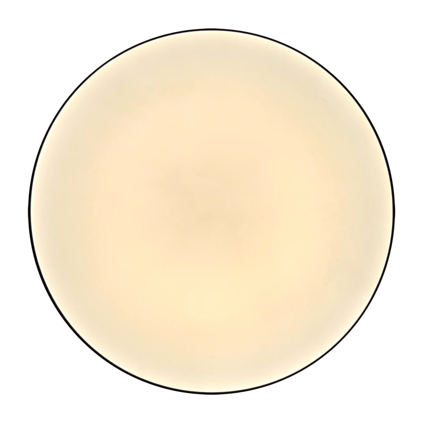 Plafoniera LED da bagno MOON LED/18W/230V nero IP44