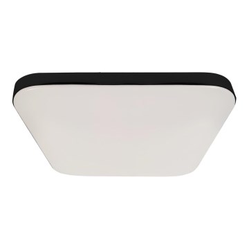 Plafoniera LED da bagno NEMO LED/17W/230V IP44 nero