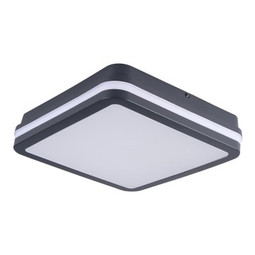 Plafoniera LED da esterno BENO LED/24W/230V 4000K antracite IP54