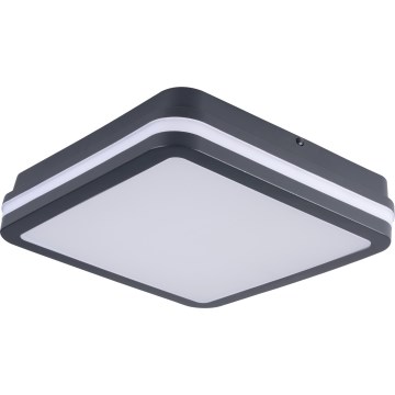 Plafoniera LED da esterno con sensore di movimento BENO LED/24/30W/230V 3000/3500/4000K IP65 antracite quadrato