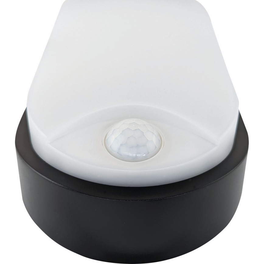 Plafoniera LED da esterno con sensore LED/14W/230V IP54 nero