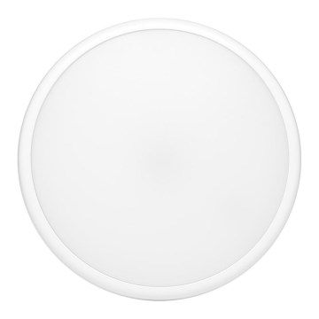 Plafoniera LED da esterno con sensore MOVA LED/16W/230V IP54