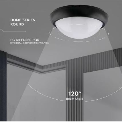 Plafoniera LED da esterno LED/12W/230V IP54