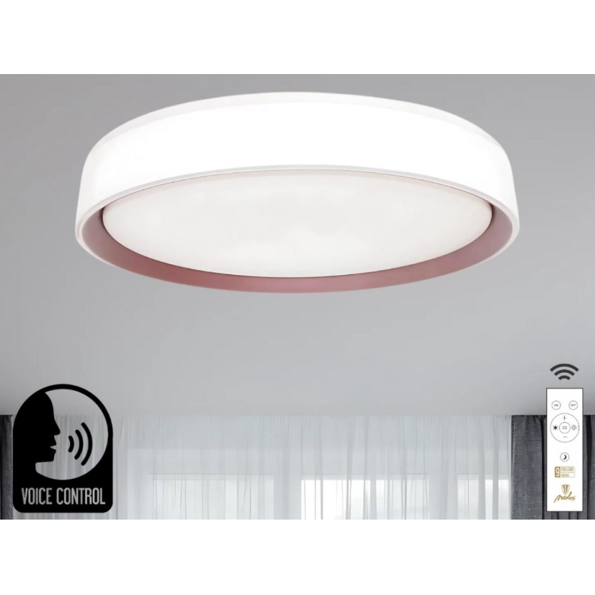 Plafoniera LED dimmerabile con controllo vocale OPAL LED/48W/230V 2700-6500K bianco + telecomando