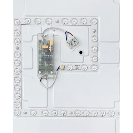 Plafoniera LED dimmerabile FLORA LED/60W/230V 2700-6500K 53x53 cm + telecomando