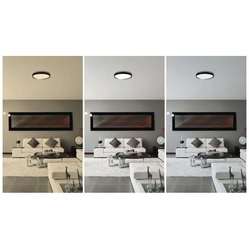 Plafoniera LED dimmerabile ILVI LED/30W/230V 2700-6500K Ø 40 cm nero/ottone + telecomando
