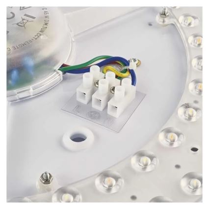Plafoniera LED dimmerabile ILVI LED/30W/230V 2700-6500K Ø 40 cm nero/ottone + telecomando