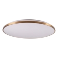 Plafoniera LED dimmerabile KERN LED/80W/230V 3000/4000/6000K Ø 80 cm dorata + telecomando