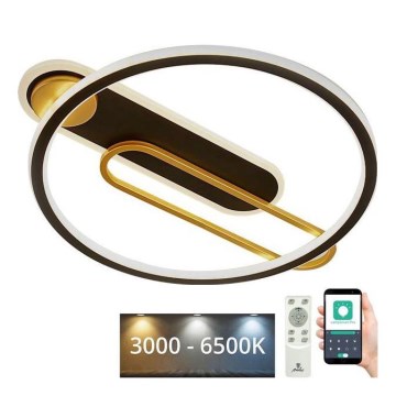 Plafoniera LED dimmerabile LED/60W/230V 3000-6500K nero + telecomando