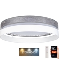Plafoniera LED dimmerabile LIMA LED/36W/230V 2700-6500K Wi-Fi Tuya + telecomando argento/bianco