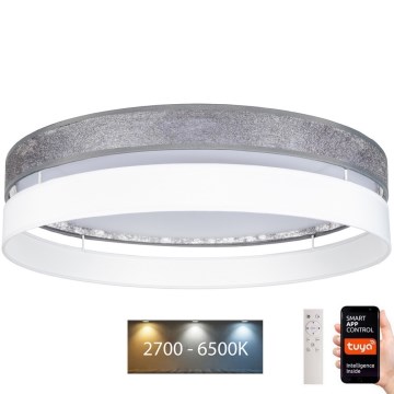 Plafoniera LED dimmerabile LIMA LED/36W/230V 2700-6500K Wi-Fi Tuya + telecomando argento/bianco
