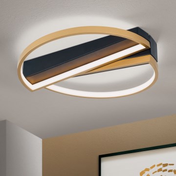 Plafoniera LED dimmerabile OLGA LED/28W/230V oro/nero