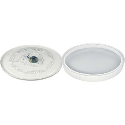 Plafoniera LED dimmerabile SAMER LED/40W/230V 2900-6000K + telecomando