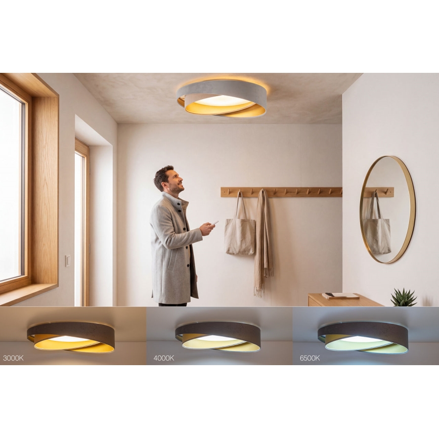 Plafoniera LED dimmerabile SMART GALAXY MODERN LED/24W/230V 3000-6500K Ø 55 cm grigio/beige/oro + telecomando