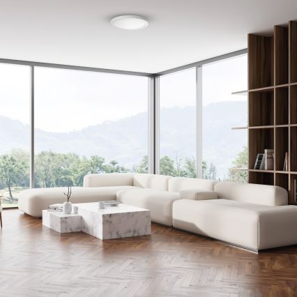 Plafoniera LED EVORA, 24W, 230V, 3000/4000/6000K, Ø 30 cm, bianca