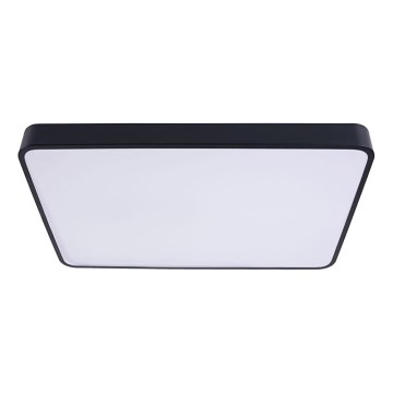 Plafoniera LED FELIZ LED/40W/230V 4000K 40x40 cm nero