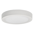 Plafoniera LED FENIX LED/12W/230V 2800K diametro 17 cm