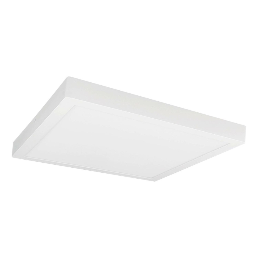 Plafoniera LED FENIX LED/32W/230V 3800K 40 cm neve bianco