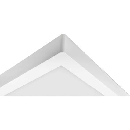 Plafoniera LED FENIX LED/32W/230V 3800K 40 cm neve bianco
