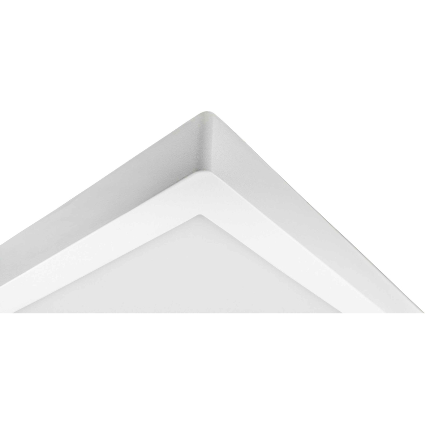 Plafoniera LED FENIX LED/32W/230V 3800K 40 cm neve bianco