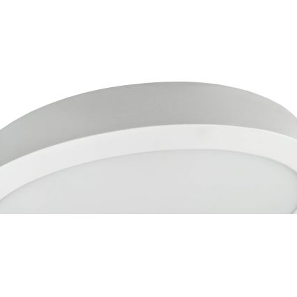 Plafoniera LED FENIX LED/32W/230V 3800K diametro 40 cm neve bianco